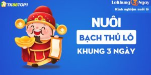 Bạch thủ lô khung 3 ngày